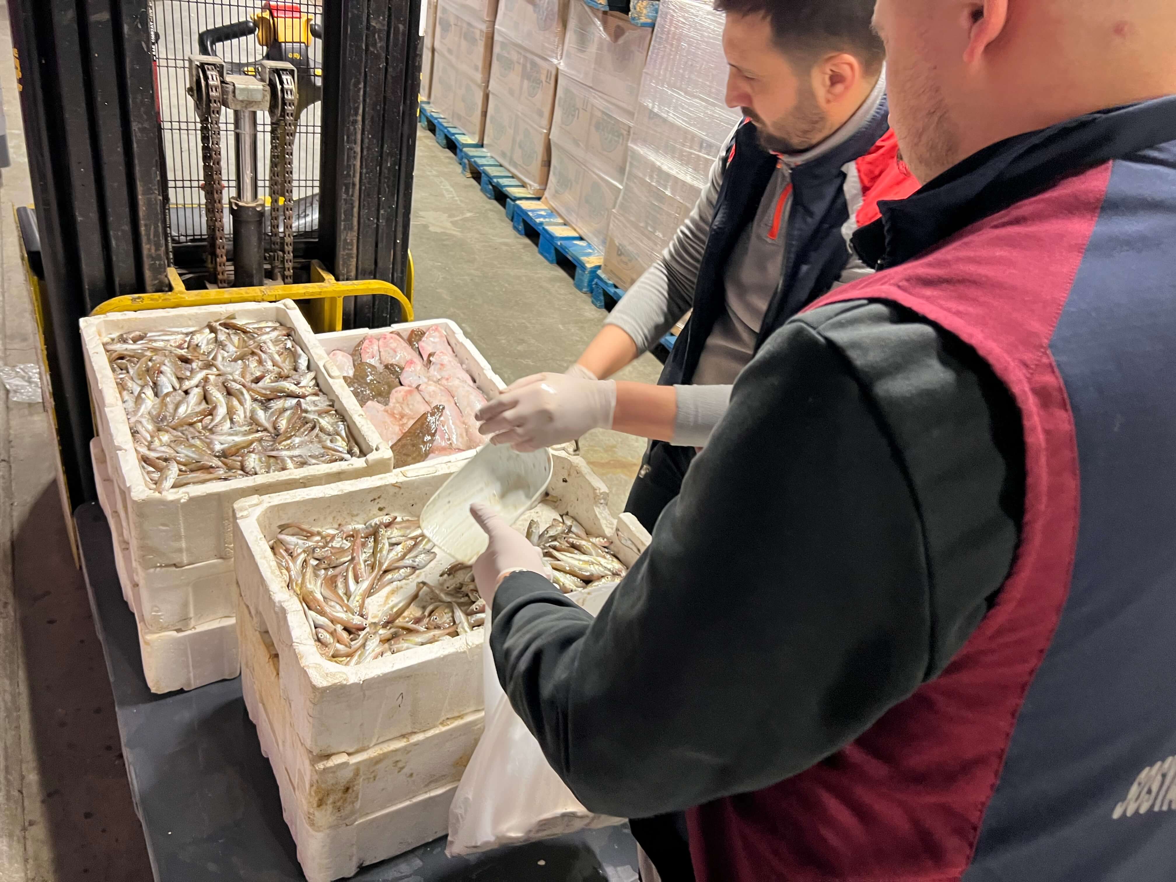 4 Ton Balık Bağışı